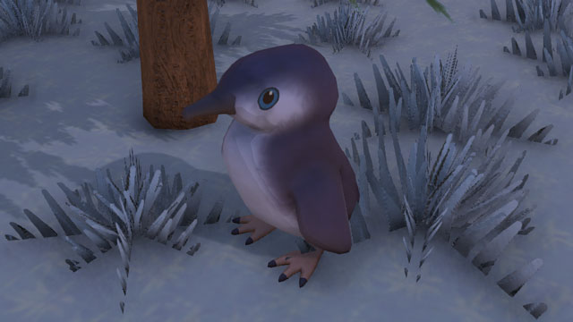 島の南西に生息するペンギン