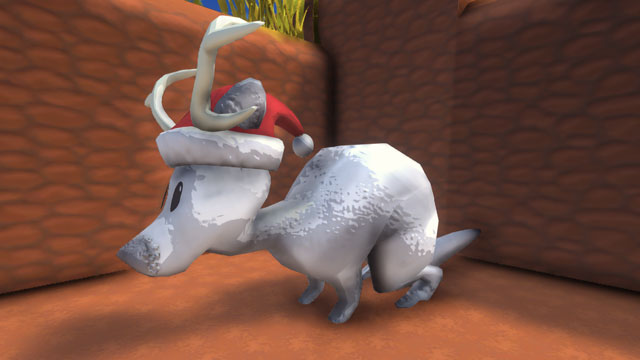 動物-白いジャッカルーの見た目