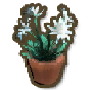 アイテム-フランネルフラワーの鉢のアイコン