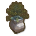 アイテム-黄色いワトルの花瓶のアイコン