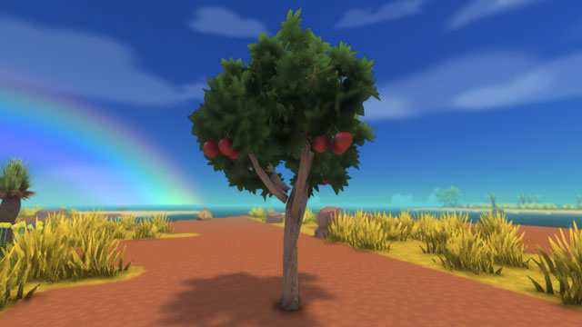 さくらんぼの木の見た目