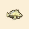 ブチハンドフィッシュ