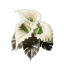 アイテム-カラ・ルナのアイコン