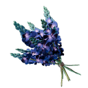 アイテム-キアイのアイコン