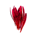 アイテム-サフランのアイコン