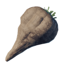 アイテム-フォレスト・ビートのアイコン