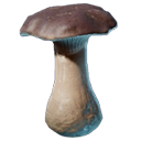 アイテム-ポルチーニのアイコン