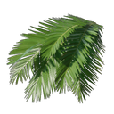 アイテム-ヤシの葉のアイコン