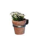 アイテム-壁掛けの鉢植え（白・小）のアイコン