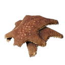 アイテム-毛皮のアイコン