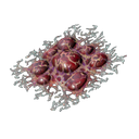 アイテム-腐食性血液のアイコン