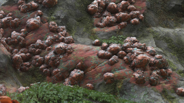 レベルウッドに点在する銅鉱石の鉱脈