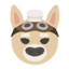 デヴォンのアイコン