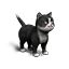 デビエーション-異次元の大猫-フォーチュンのアイコン